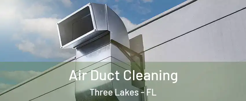  Air Duct Cleaning Three Lakes - FL