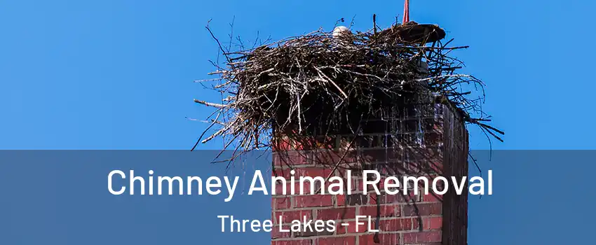  Chimney Animal Removal Three Lakes - FL