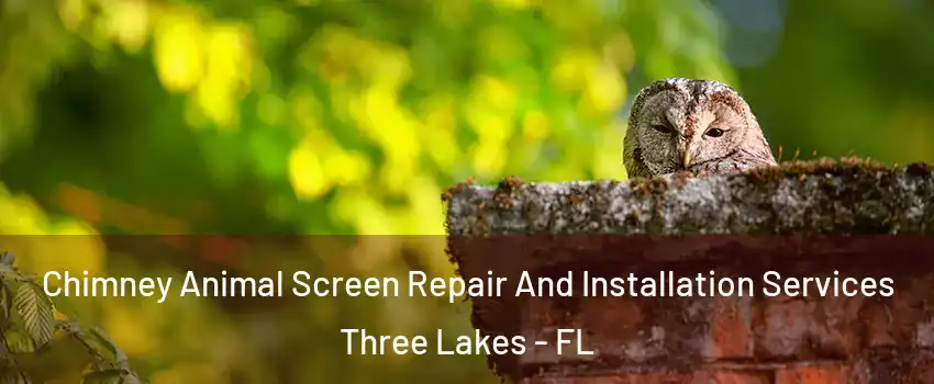  Chimney Animal Screen Repair And Installation Services Three Lakes - FL