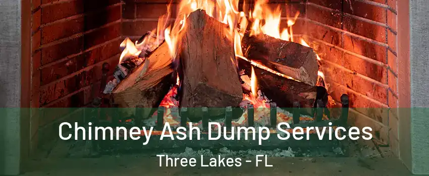  Chimney Ash Dump Services Three Lakes - FL