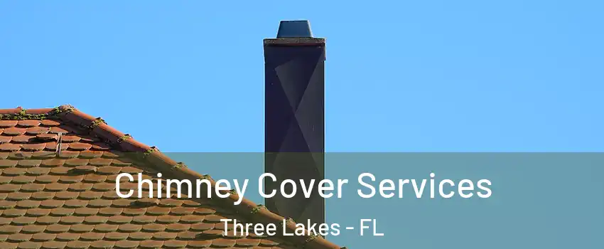  Chimney Cover Services Three Lakes - FL