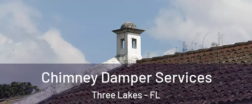  Chimney Damper Services Three Lakes - FL