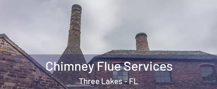  Chimney Flue Services Three Lakes - FL