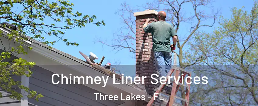  Chimney Liner Services Three Lakes - FL