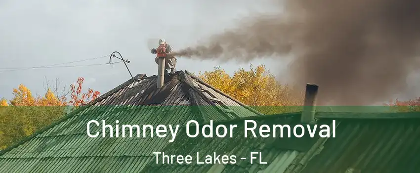  Chimney Odor Removal Three Lakes - FL