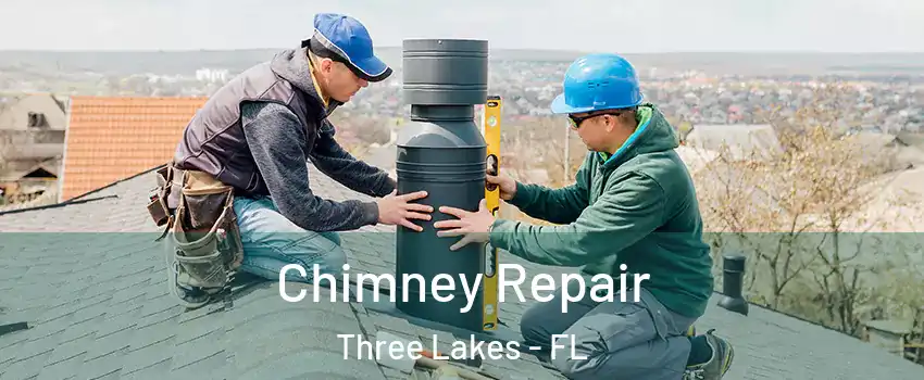  Chimney Repair Three Lakes - FL