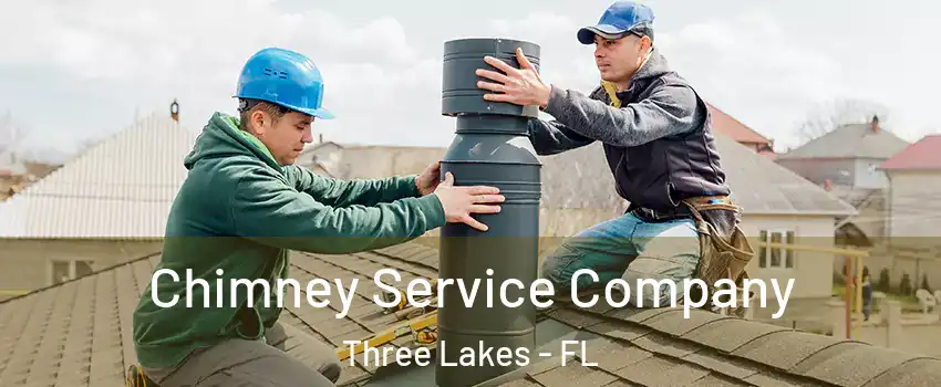  Chimney Service Company Three Lakes - FL