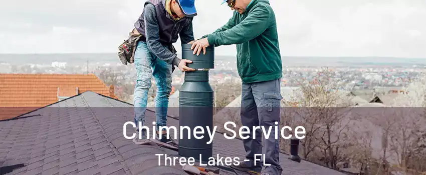  Chimney Service Three Lakes - FL