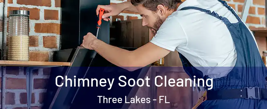  Chimney Soot Cleaning Three Lakes - FL