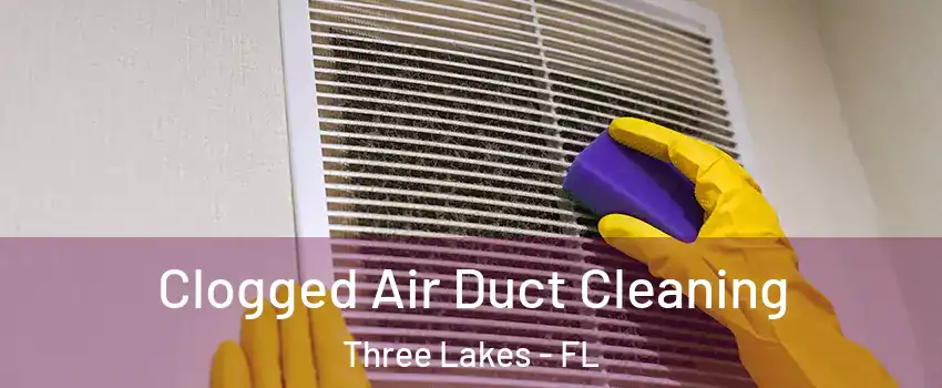  Clogged Air Duct Cleaning Three Lakes - FL