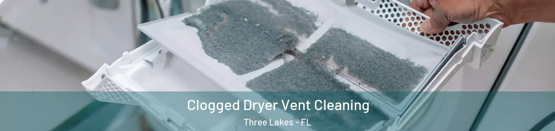  Clogged Dryer Vent Cleaning Three Lakes - FL