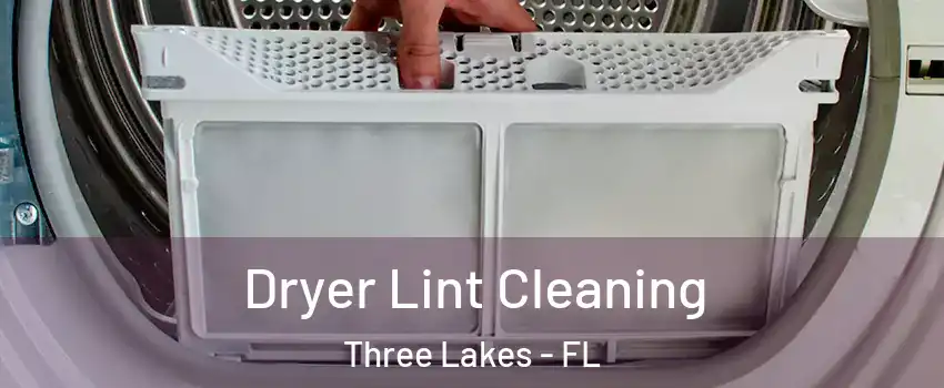  Dryer Lint Cleaning Three Lakes - FL