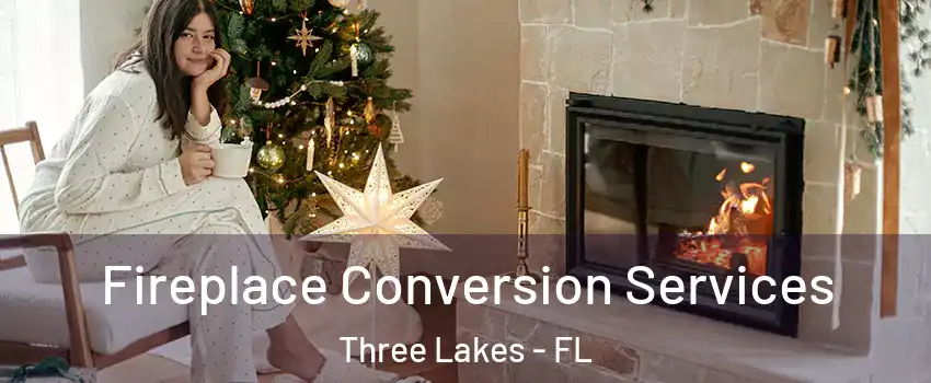 Fireplace Conversion Services Three Lakes - FL
