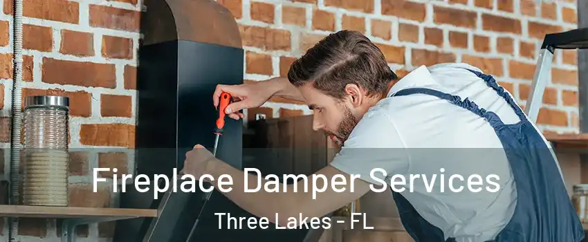  Fireplace Damper Services Three Lakes - FL