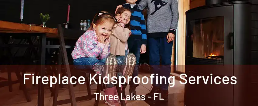  Fireplace Kidsproofing Services Three Lakes - FL