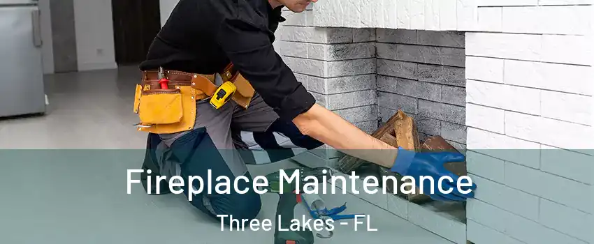  Fireplace Maintenance Three Lakes - FL