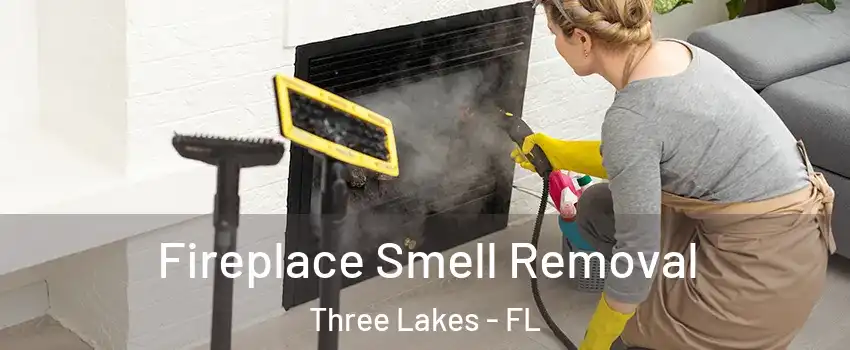  Fireplace Smell Removal Three Lakes - FL