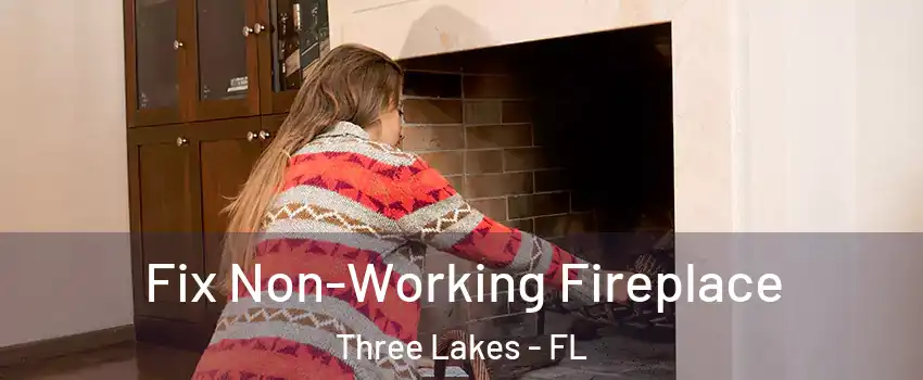  Fix Non-Working Fireplace Three Lakes - FL
