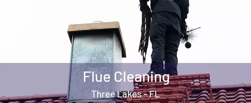  Flue Cleaning Three Lakes - FL