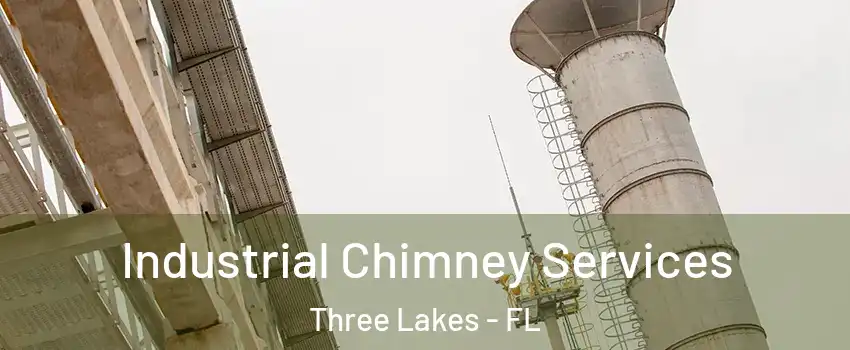  Industrial Chimney Services Three Lakes - FL