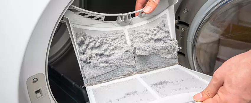 Best Dryer Lint Removal Company in Three Lakes, Florida