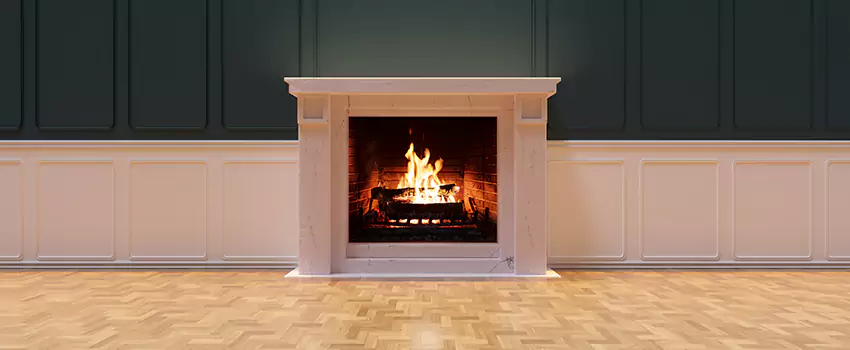 Napoleon Electric Fireplaces Inspection Service in Three Lakes, Florida