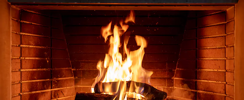 Soot Cleanup Services in Three Lakes, FL
