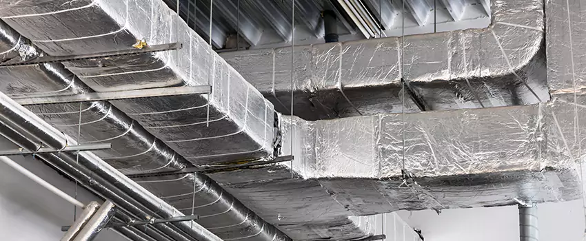 Vent Dust Cleaning Cost in Three Lakes, FL