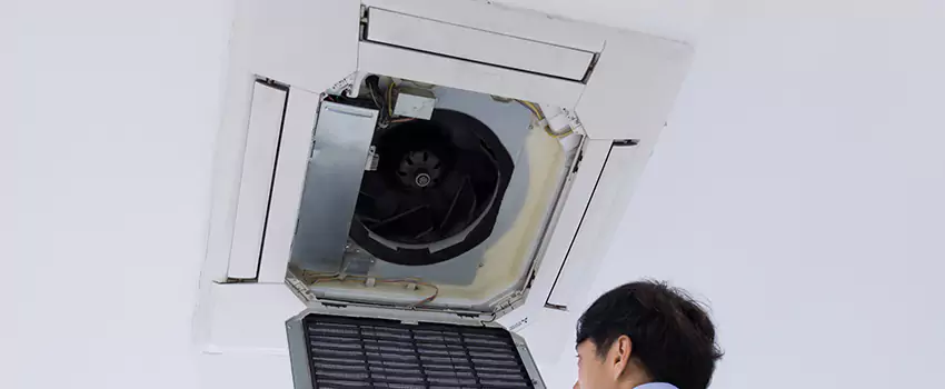 Benefits of Professional Air Duct Cleaning in Three Lakes, Florida