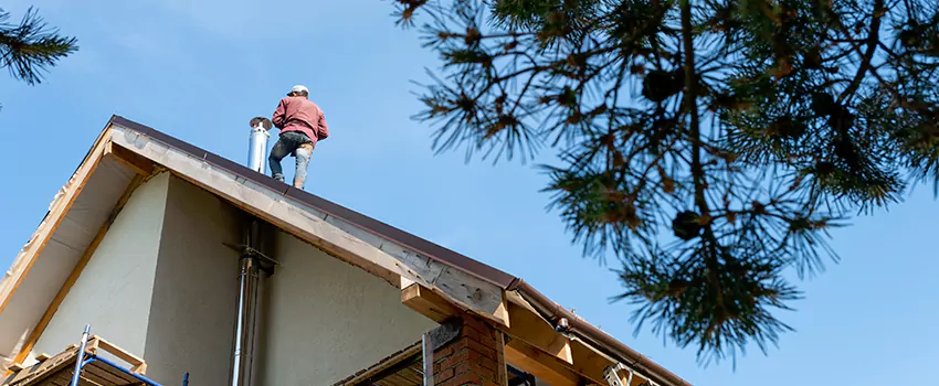 Birds Removal Contractors from Chimney in Three Lakes, FL