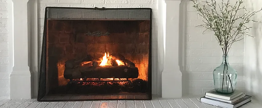 Cost-Effective Fireplace Mantel Inspection And Maintenance in Three Lakes, FL