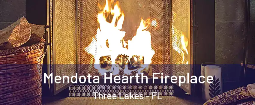  Mendota Hearth Fireplace Three Lakes - FL