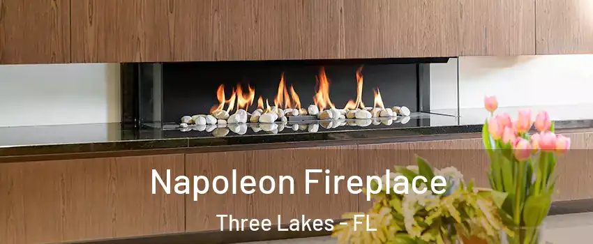 Napoleon Fireplace Three Lakes - FL