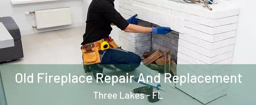  Old Fireplace Repair And Replacement Three Lakes - FL