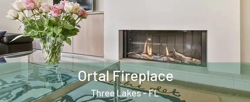  Ortal Fireplace Three Lakes - FL